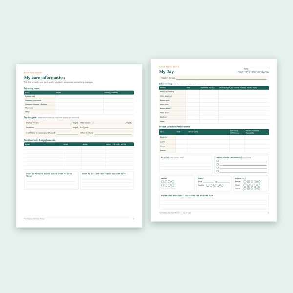 Daily Planner care information page and daily page